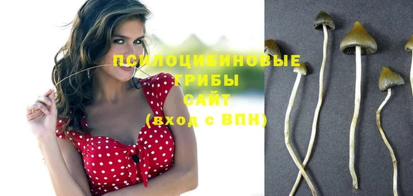 дмт Белокуриха